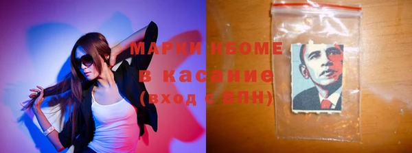 хмурый Сосновый Бор