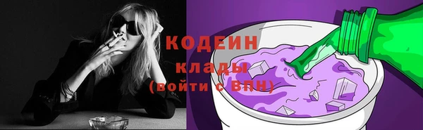 молекула духа Майский