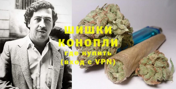 молекула духа Майский