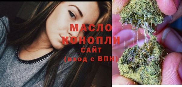молекула духа Майский