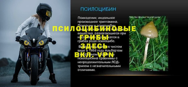 молекула духа Майский
