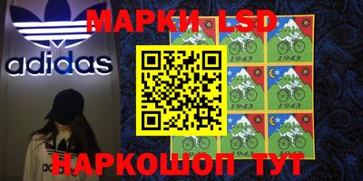 кокс Кингисепп