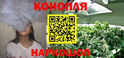 бошки Кинель