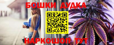 кокс Кингисепп