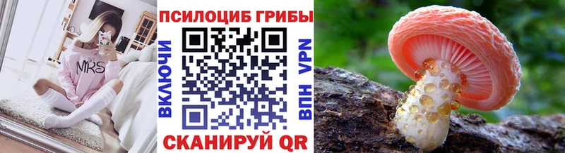 где найти наркотики  Топки  Псилоцибиновые грибы GOLDEN TEACHER 