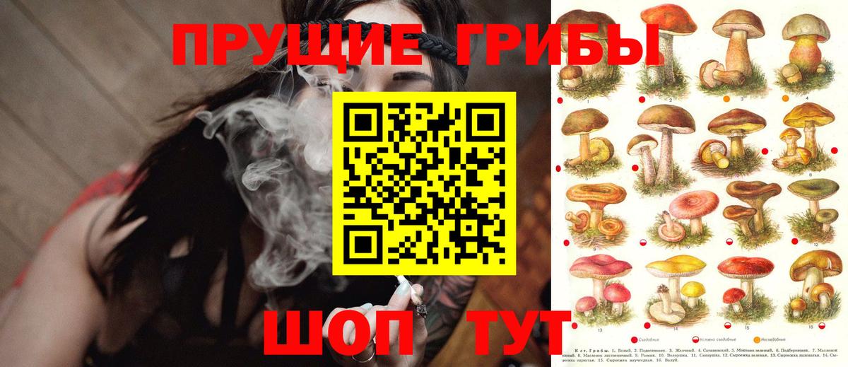 Галлюциногенные грибы MAGIC MUSHROOMS  Псилоцибиновые грибы GOLDEN TEACHER  Вход с VPN  Топки 