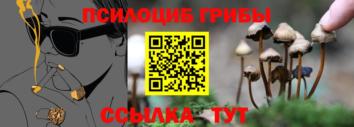 Галлюциногенные грибы ЛСД  Топки  Галлюциногенные грибы MAGIC MUSHROOMS 