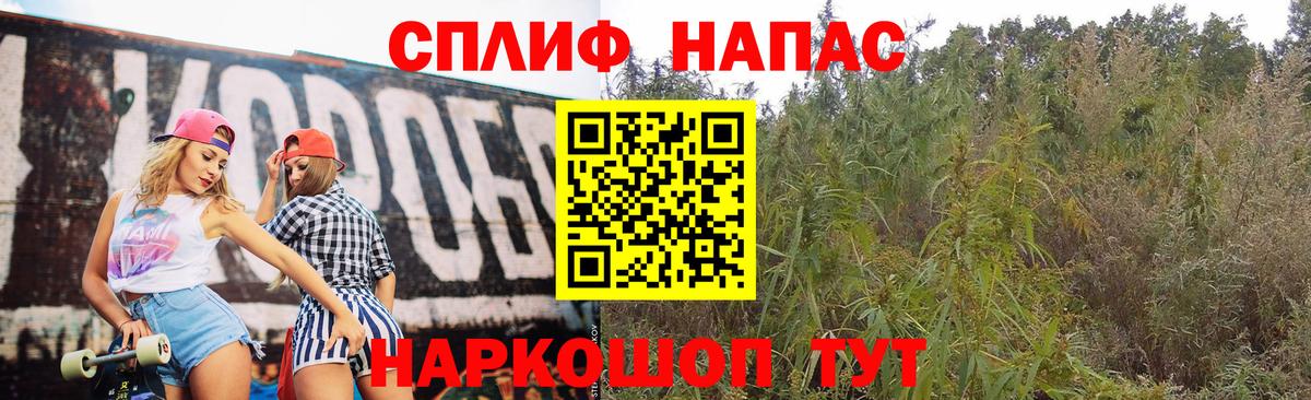 Канабис сатива  Марихуана Ganja  Бошки марихуана тримм  Топки  Вход с VPN  МАРИХУАНА план 